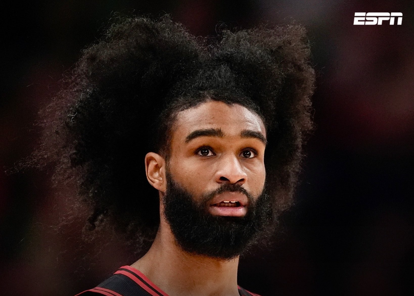 Shams：今天，科比·怀特将与爵士队复出，迎接个人赛季首秀。