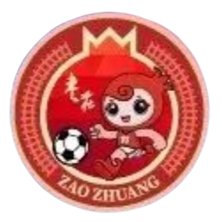 枣庄队