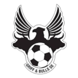 格里夫雄牛SE U19